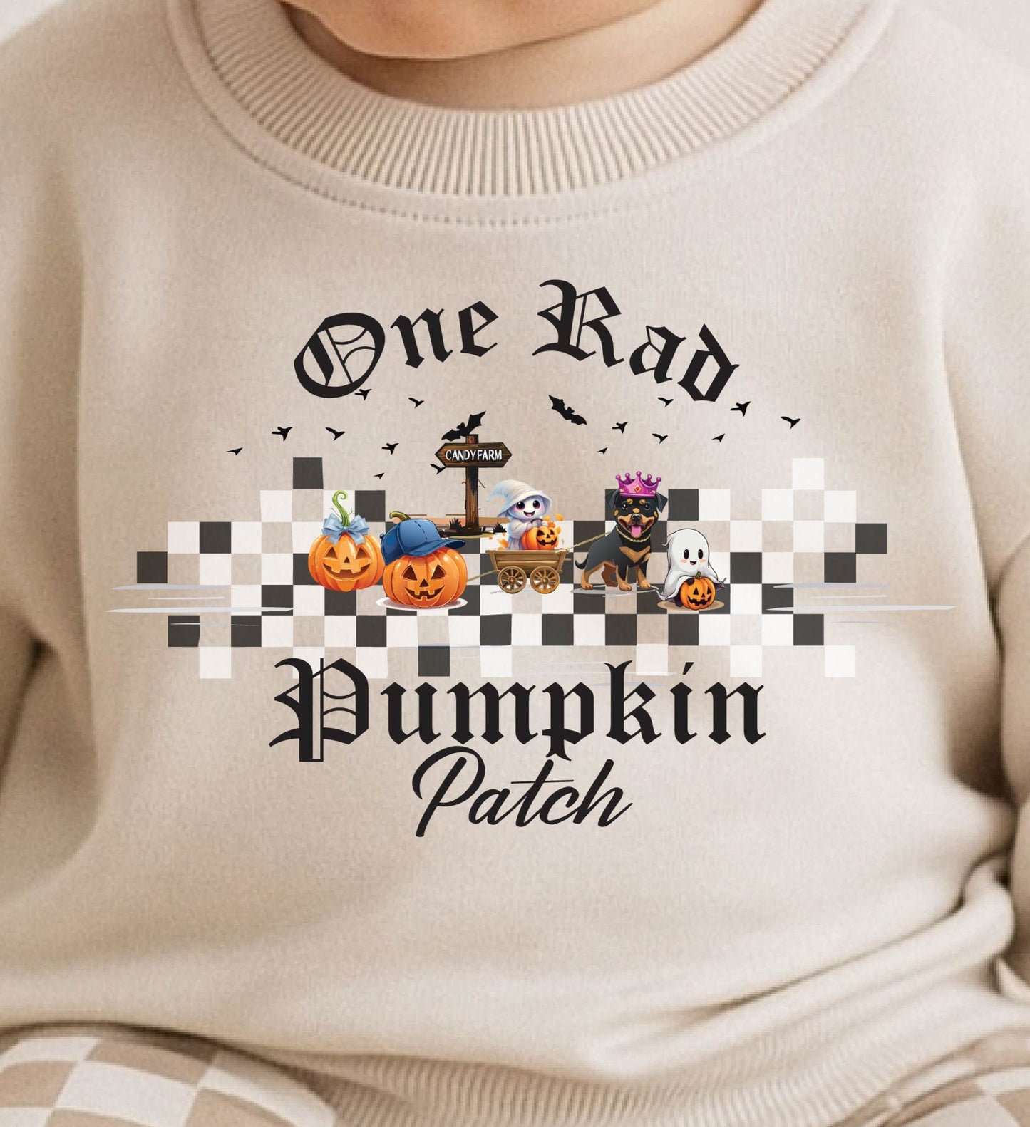 2-piece Infant Checkered Sweat set